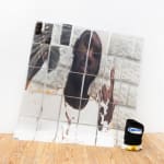 Allen-Golder Carpenter, Brown Recluse 1