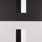 Jon Groom | EVIDENCE Painting #4 1991 | Acrylic and pigments on wood panel | 250 x 150 x 5 cm - installation view at PULPO GALLERY