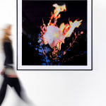 Michael Ullrich, Burning Flowers #4, 2023 | Edition of 5 + 2 AP