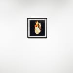 Michael Ullrich, Burning Flowers #13, 50 x 50 cm | 1 of 8 / +2 AP, Fine Art Pigment Print / Black Object Frame, 2023