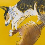 Patricia Patterson, Small Dogs