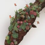 Shani Strand, Autonomous, 2024