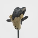 Shani Strand, Autonomous, 2024