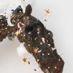 Shani Strand, Autonomous, 2024