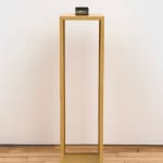 Sheree Hovsepian, Untitled 5 from Muscle Memory, 2024