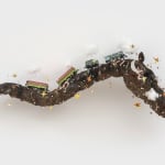 Shani Strand, Autonomous, 2024