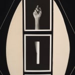Sheree Hovsepian, Untitled 5 from Muscle Memory, 2024