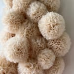 Sofie Aaldering, Orange Pompom