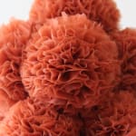 Sofie Aaldering, Vase Sculpture