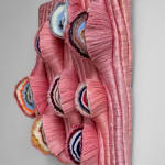 Joana Schneider, Mossy Swamp