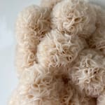 Sofie Aaldering, Orange Pompom