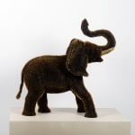 Sebiha Demir, Big rhino