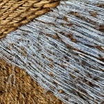 Pieternel Eisinga-Verhoeven, Flower on the water, 1975