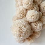 Sofie Aaldering, Orange Pompom