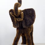 Sebiha Demir, Big rhino