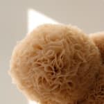 Sofie Aaldering, Vase Sculpture