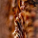 Chris Koens, Creatures #22