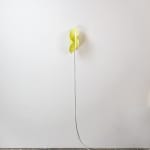 Johannes Langkamp, Tilted Plane (variation 2)