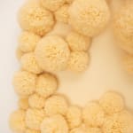 Sofie Aaldering, Orange Pompom