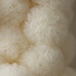 Sofie Aaldering, Eclair 1