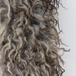 Signe Emdal, Indian Rose