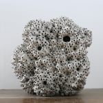 Frits Achten, Larveae 1