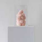 Sofie Aaldering, Orange Pompom