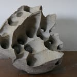 Frits Achten, Larveae 1