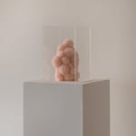 Sofie Aaldering, Orange Pompom