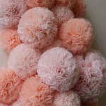 Sofie Aaldering, Blossom