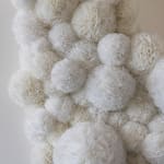 Sofie Aaldering, Frozen Time