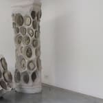 Frits Achten, Larveae 1