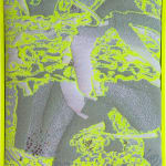 Yamuna Forzani, Circle Pillow Mint
