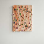 Joana Schneider, Paradise bird