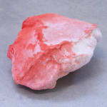 Pedro Matias, Ruby Alcyonacea Callicle II