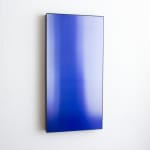 Jens Buis, Scope