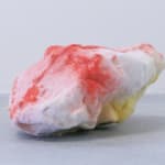 Pedro Matias, Ruby Alcyonacea Callicle I
