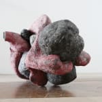 Frits Achten, Walking bird