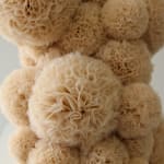 Sofie Aaldering, Vase Sculpture