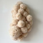Sofie Aaldering, Orange Pompom