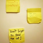 Jessi Strixner, Post its - Don't forget to feed the cat