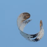 Jesler Muntendam, Bracelet Gold Plated
