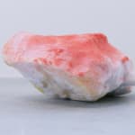 Pedro Matias, Ruby Alcyonacea Callicle I