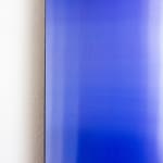Jens Buis, Scope