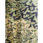 Sina Dyks, Swimming Cells