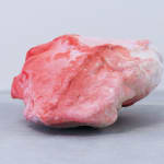 Pedro Matias, Ruby Alcyonacea Callicle II