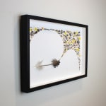 Chris Maynard feather art assemblage art titled Morning Crow made with turkey, parrot and pheasant feathers available for sale at Radius Gallery