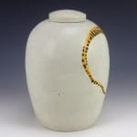 Julia Galloway Endangered Species Urn: art titled Longtail Salamander (Reptile) made with ceramic available for sale at Radius Gallery