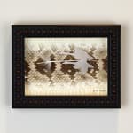 Chris Maynard feather art assemblage art titled Ground and Sky Study made with mute swan feathers on shed rattlesnake skin available for sale at Radius Gallery
