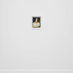Laura Rokas, Don’t Make Me Beg, 2024